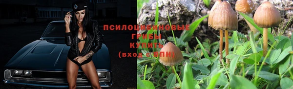 PSILOCYBIN Нея