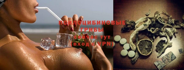 героин Болотное