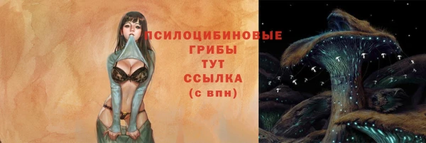 Альфа ПВП Новодвинск