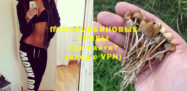 Альфа ПВП Новодвинск