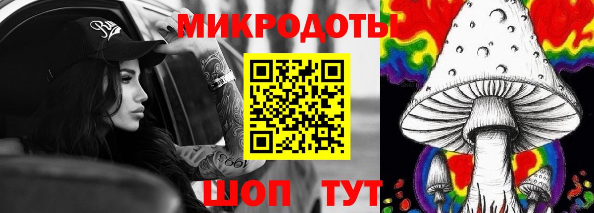 Псилоцибиновые грибы Cubensis Шарыпово