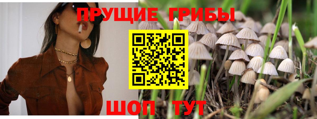 ГАШИШ Шарыпово