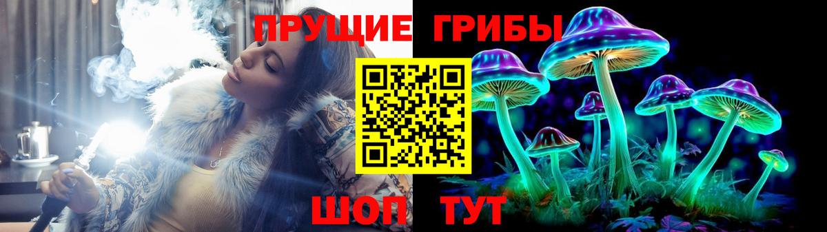 закладки  Вход с VPN  Шарыпово  Галлюциногенные грибы Cubensis  Галлюциногенные грибы мицелий 